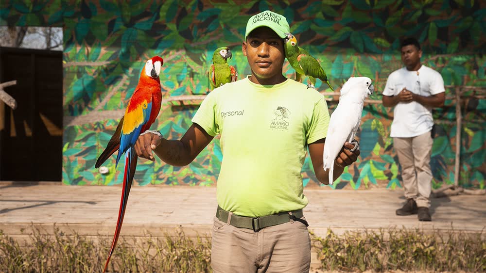 Aviary + Baru in Cartagena