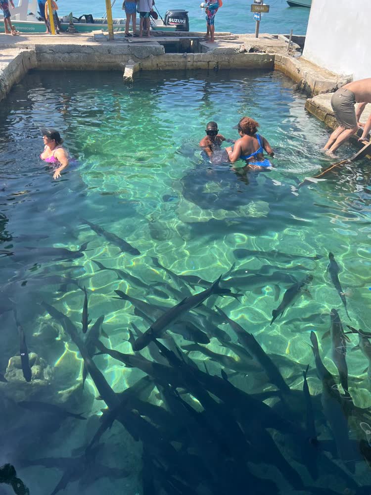 Isla Mucura, photo 8