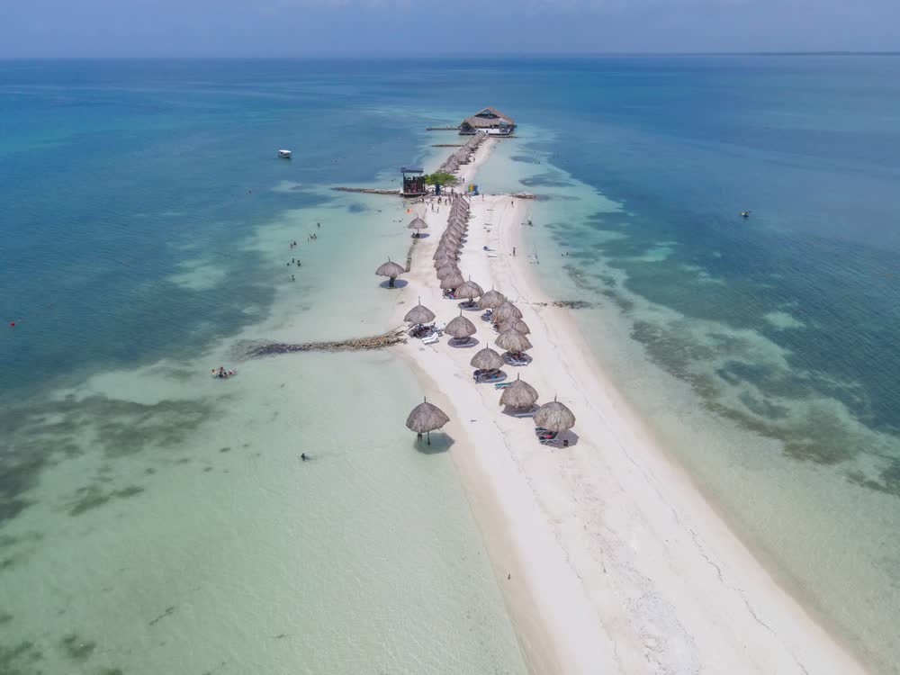 Isla Palma, photo 7