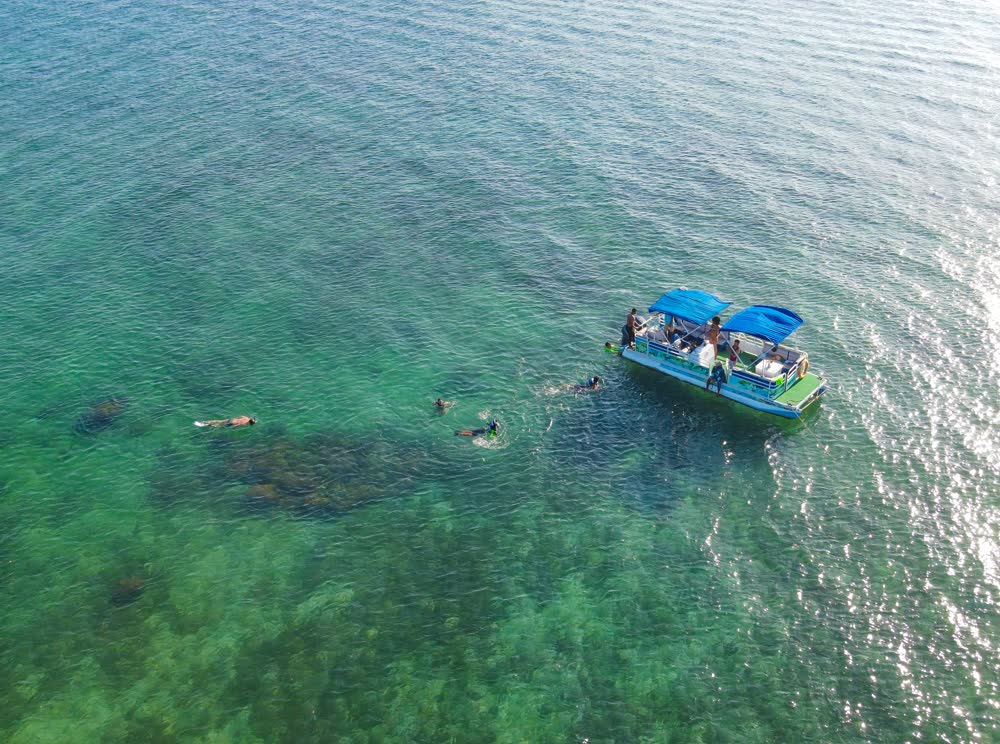 Isla Palma, photo 8