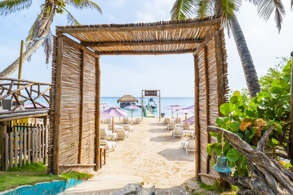Luxury Ambiente Beach, photo 3