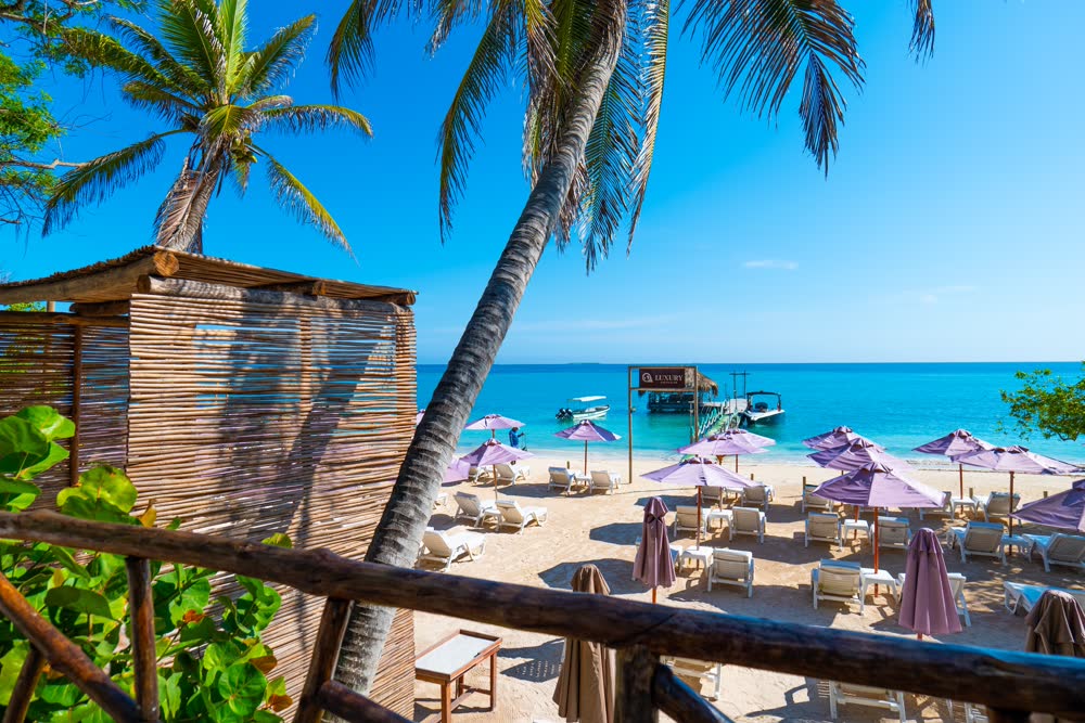Luxury Ambiente Beach, photo 5