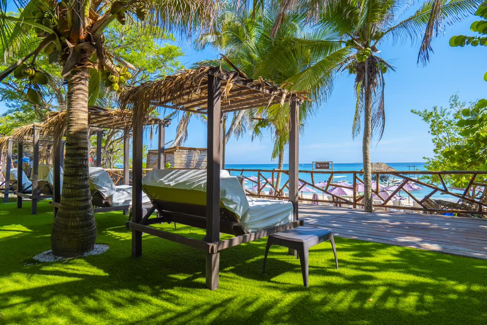 Luxury Ambiente Beach, photo 8