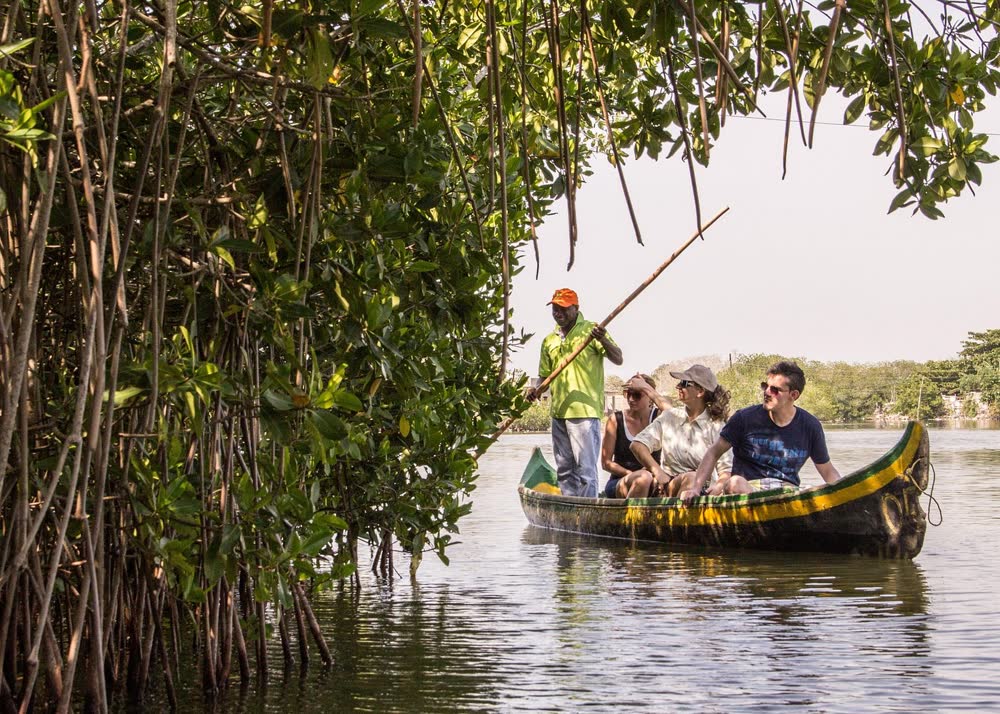 Mangrove Tour, La Boquilla in Cartagena