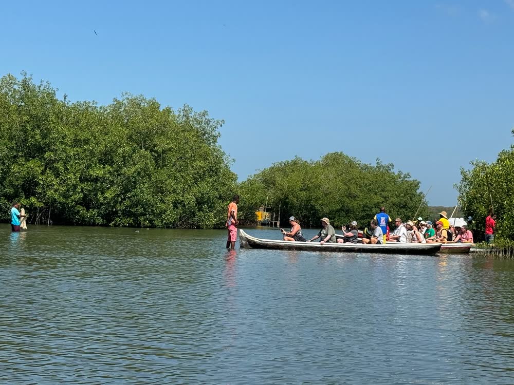 Mangrove Tour, La Boquilla, photo 8