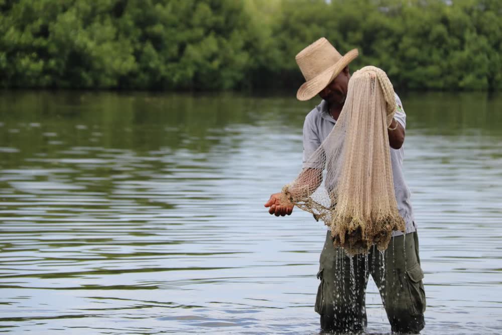 Mangrove Tour, La Boquilla, photo 10