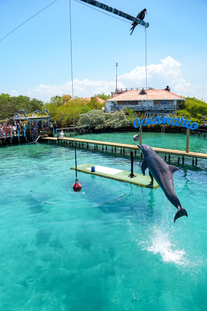 Rosario Islands + Baru, photo 4