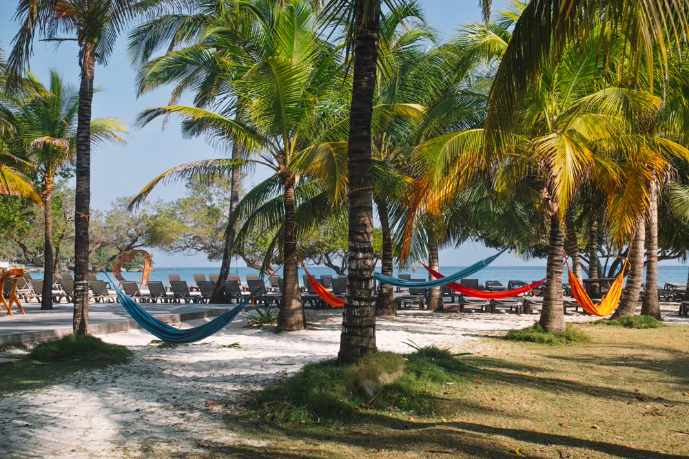 Rosario De Mar, photo 3